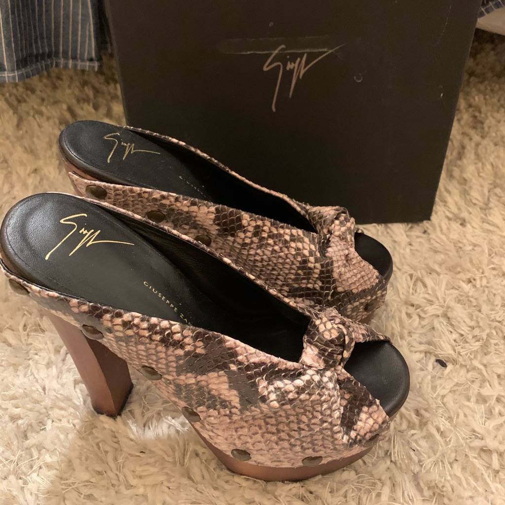 Giuseppe Zanotti